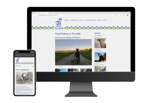 Webauftritt Zickentreff