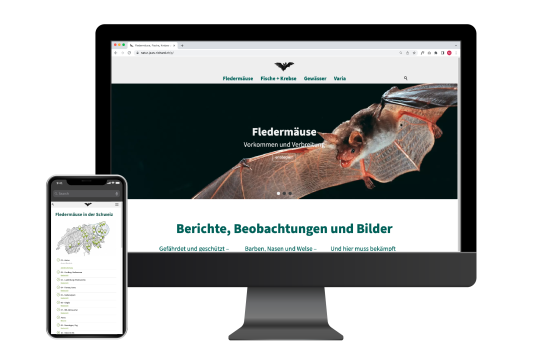 Webauftritt Natur Jean-Richard