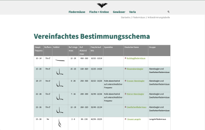 Über dieses Bestimmungsschema lassen sich die rund 30 Fledermausarten bestimmen